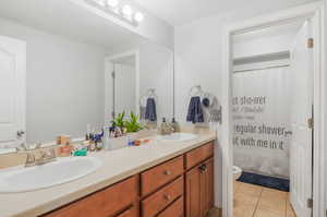 Full basement bathroom with double sink.