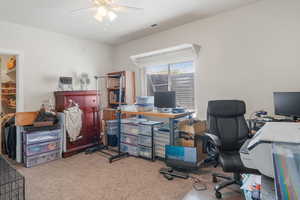 Basement bedroom with walk in closet.