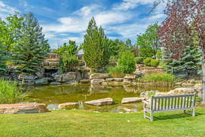 View of pond area