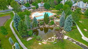 Bird's eye view of pool, pond and stream