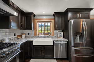 Kitchen featuring dark hardwood / real hardwood flooring, stainless steel appliances, premium range hood, sink, and tasteful backsplash