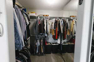 Spacious closet featuring carpet