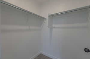 Walk-In Closet in 2nd Bedroom