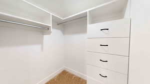 Walk in closet with carpet floors