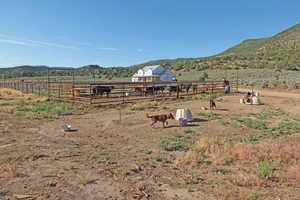 View of yard with a rural view and a mountain view