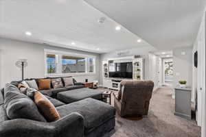 Living room featuring carpet and a textured ceiling