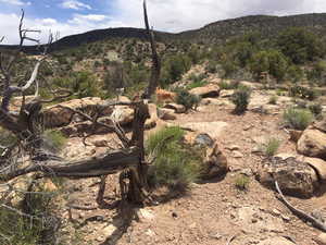 Photo 6 of 188  POLE CANYON RD6