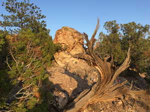 Photo 16 of 27 W KANE CANYON DR20