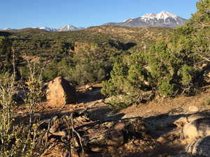 Photo 8 of 27 W KANE CANYON DR20