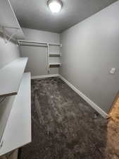 Walk in closet featuring carpet floors