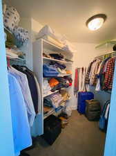 Spacious closet with carpet flooring