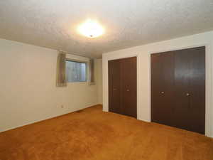 Basement bedroom