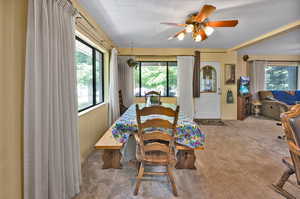 Carpeted dining room featuring ceiling fan and a healthy amount of sunlight