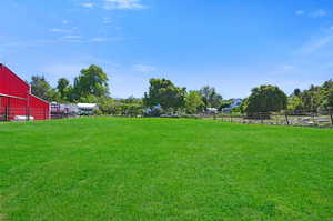 View of yard with a rural view