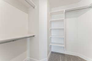 Spacious closet featuring carpet