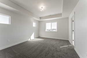 Carpeted spare room with a raised ceiling