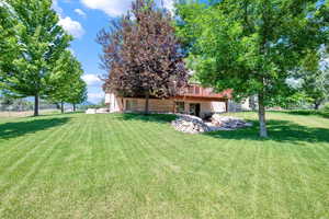 View of backyard