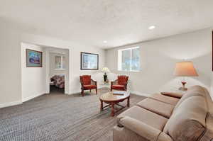 Living room featuring carpet and a textured ceiling