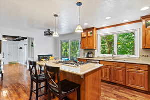 Kitchen featuring sink, wood-type flooring, a wealth of natural light, and decorative light fixtures