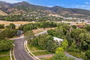 Aerial view with a mountain view