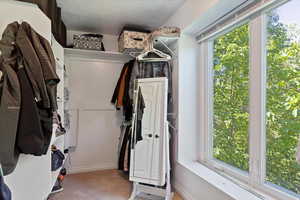 Walk in closet with carpet