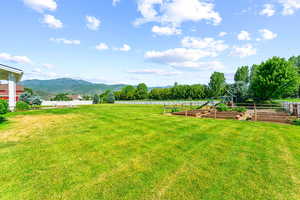 Back Yard Garden Planters