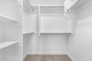 Walk in closet featuring carpet floors