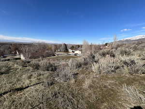 View of local wilderness