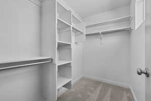 Spacious closet featuring carpet flooring