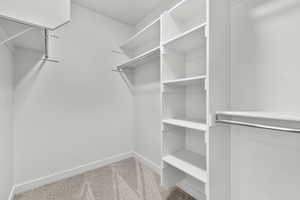 Spacious closet featuring light colored carpet