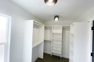 Spacious closet featuring dark colored carpet