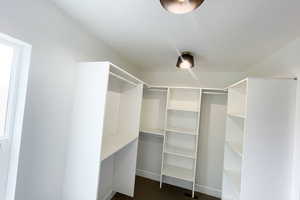 Walk in closet with carpet floors