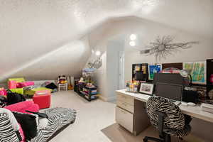 Office with a textured ceiling, lofted ceiling, and light colored carpet