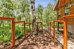 Fully Enclosed Dog Run