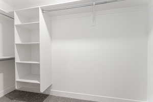 Spacious closet featuring carpet