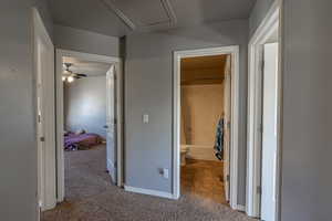 Hallway with carpet flooring