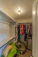 Spacious closet with carpet floors