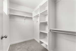 Spacious closet with carpet flooring