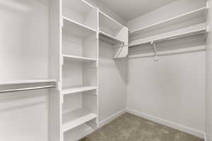 Spacious closet featuring carpet floors