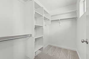 Spacious closet featuring light carpet