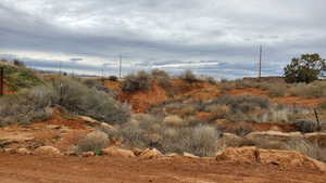 The ravine on the property.