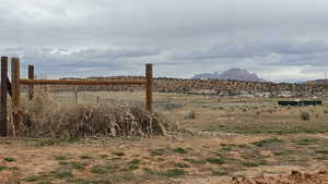 Corner fence line on the south and east edge of the property.