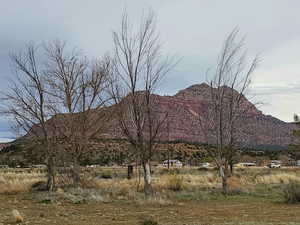 Trees in the middle of the property, looking to Zion.