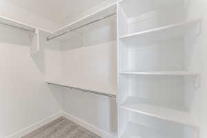 Walk in closet with carpet