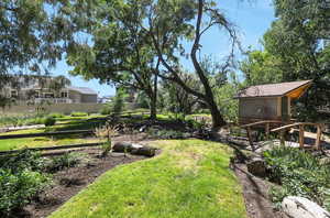 View of yard, bridge, and shed