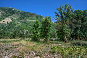 Mountain View from Lot