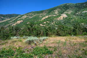 Mountain View from Lot