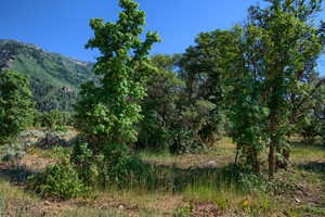 Mountain View from Lot