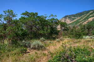 Mountain View from Lot