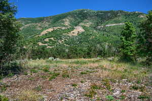 Mountain View from Lot